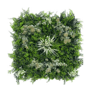 Eucalyptus