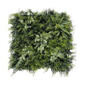 Houblon