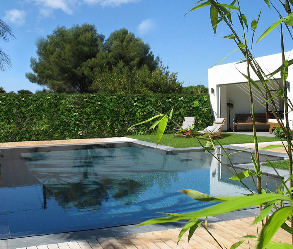 mur-vegetal-autour-d-une-piscine