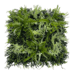dalle-fougère_mur-vegetal
