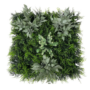 dalle-houblon_mur-vegetal