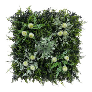 dalle-opale_mur-vegetal