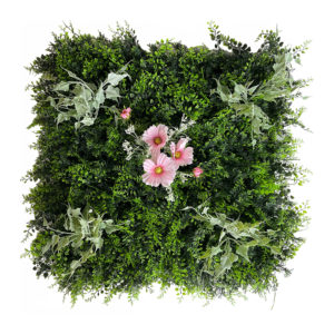dalle-rosy_mur-vegetal