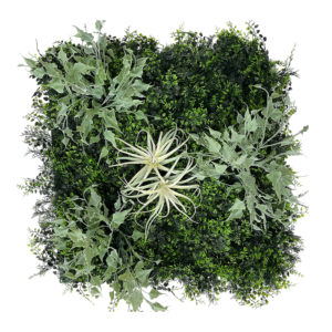 dalle-saphir_mur-vegetal