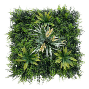 dalle-soleil_mur-vegetal