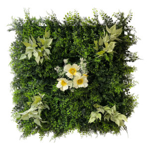 dalle-spinelle_mur-vegetal