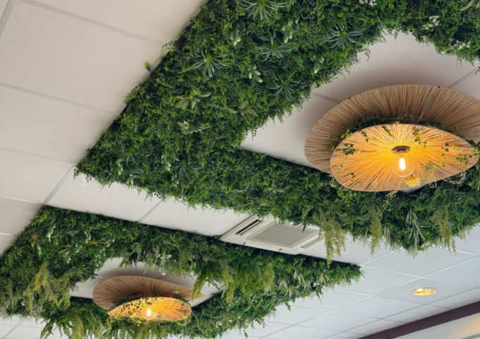 entreprise-plafond-vegetal-mur-vegetal entreprise-plafond-vegetal-mur-vegetal