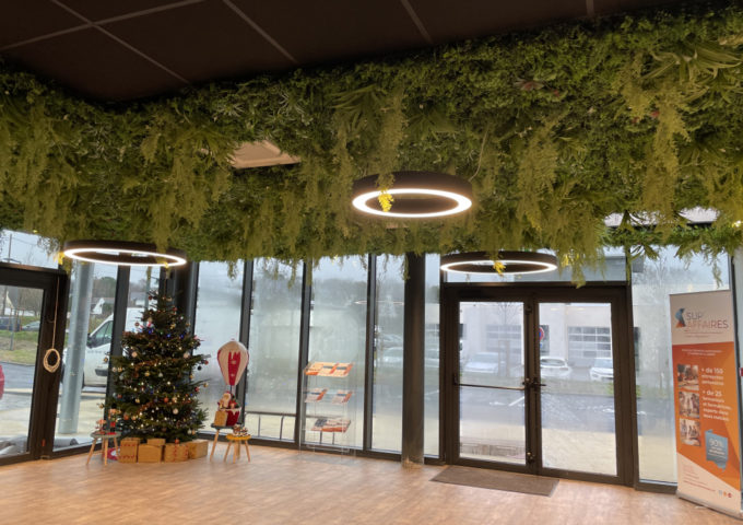 magasin-plafond-vegetal-mur-vegetal magasin-plafond-vegetal-mur-vegetal