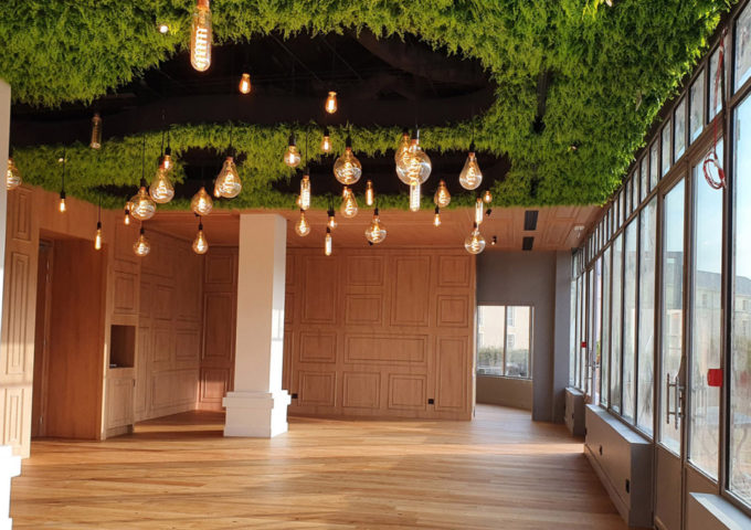 plafond-vegetal-après-mur-vegetal-1 plafond-vegetal-après-mur-vegetal-1