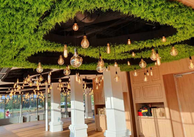 plafond-vegetal-après-mur-vegetal plafond-vegetal-après-mur-vegetal